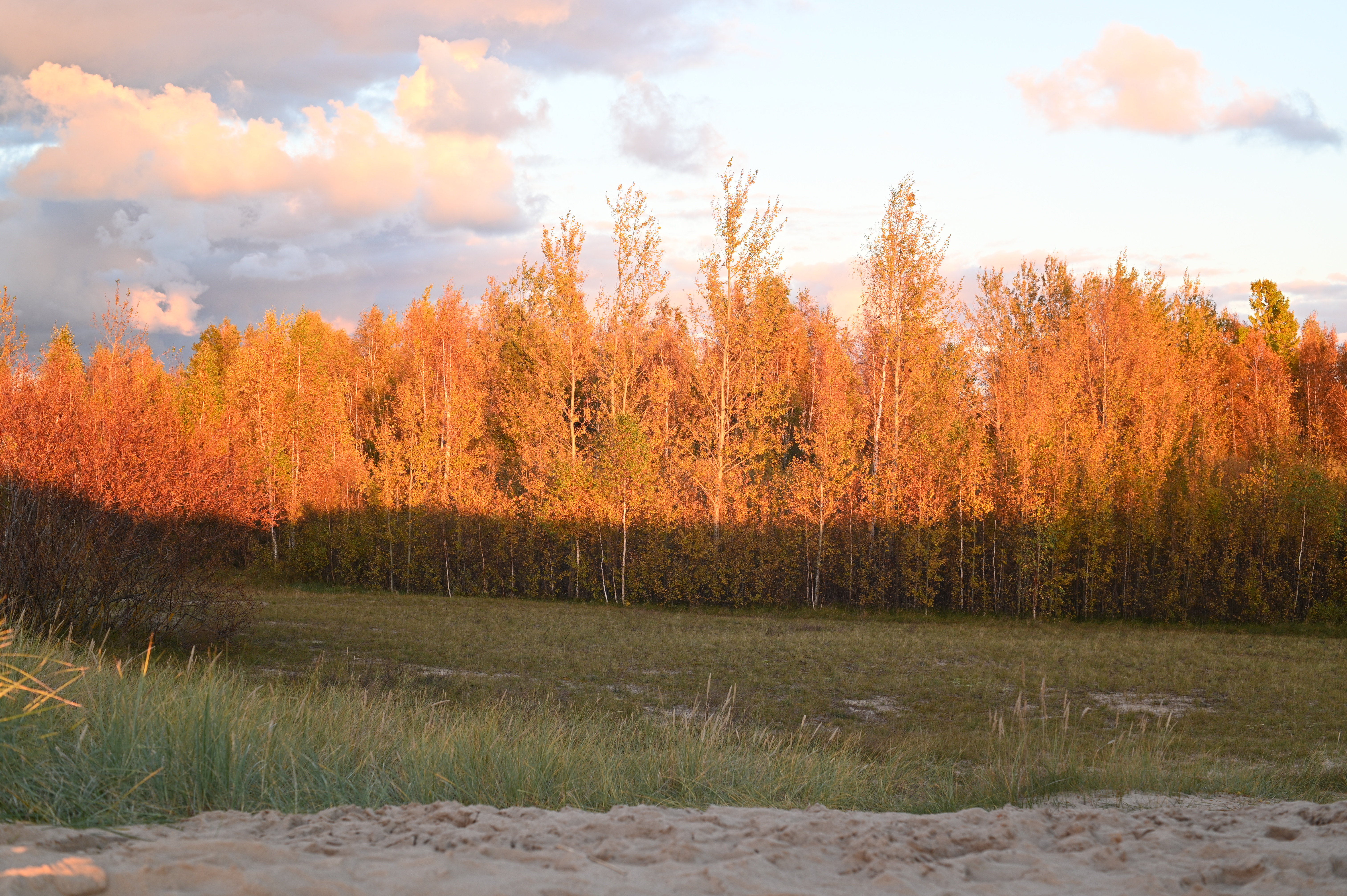 2025/10/18 - walk/DSC_0375.JPG